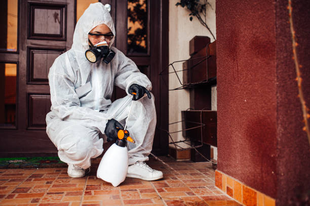 Attic and Crawl Space Rodent Treatment in Dunsmuir