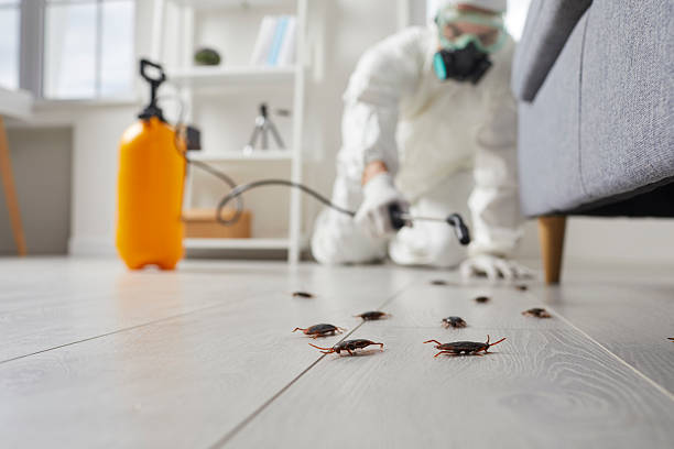 Commercial Rodent Management in Dunsmuir